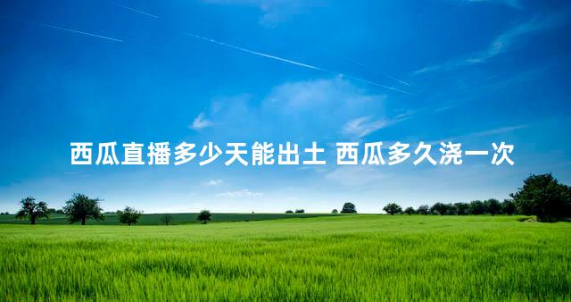 西瓜直播多少天能出土 西瓜多久浇一次肥